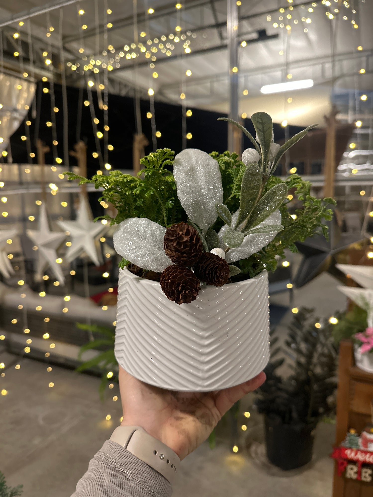 5” Classic White Planter