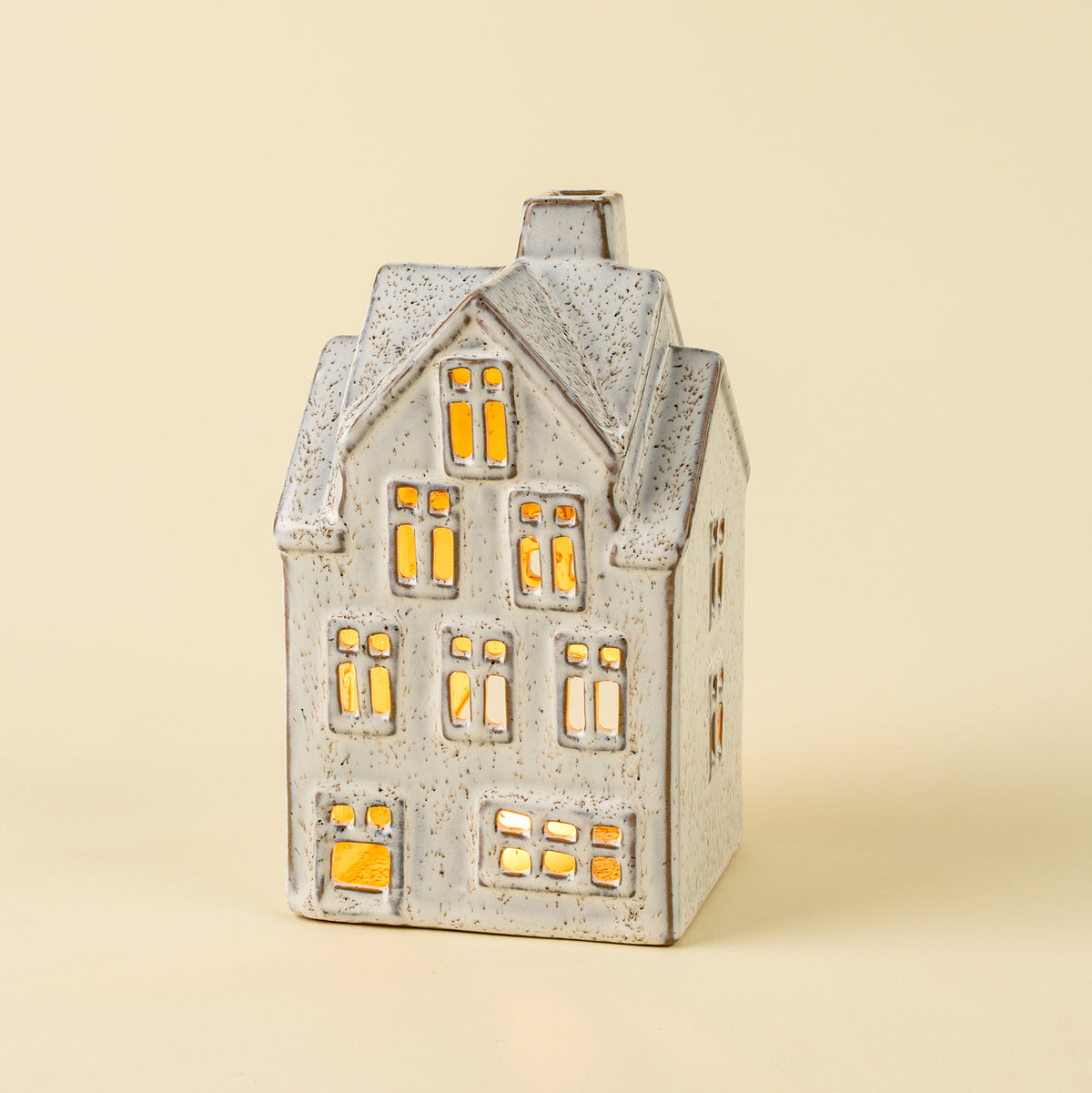 Winter Chalet House