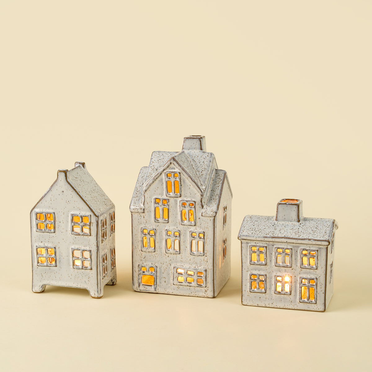 Winter Chalet House