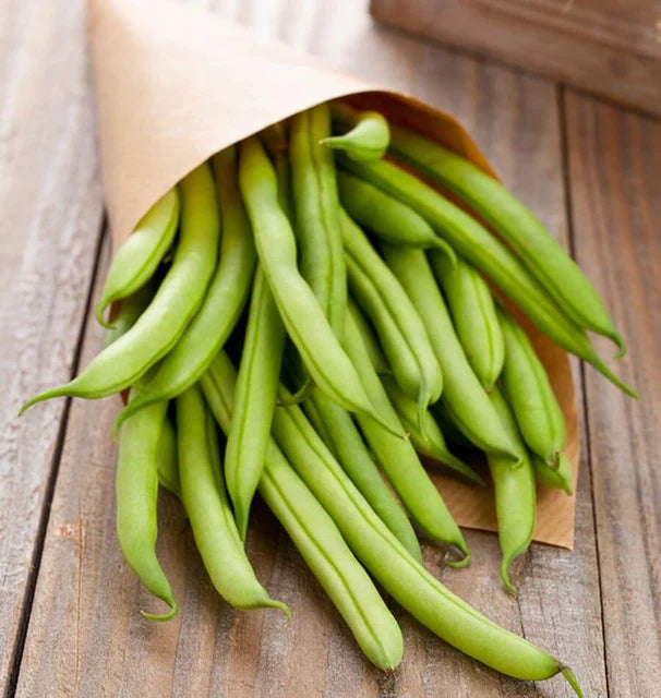 Kentucky Wonder Brown Bean