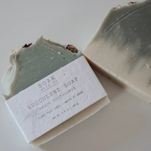 Succulent Soap Bar