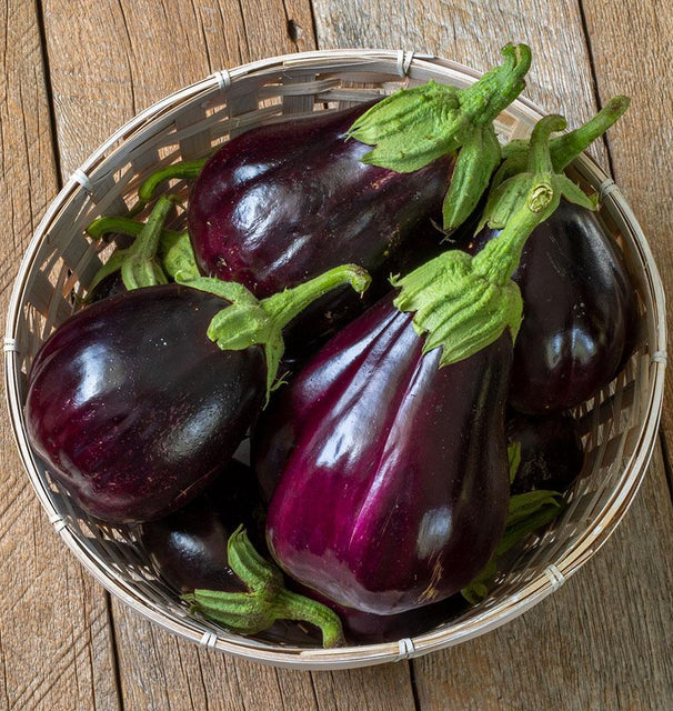 Black Beauty Eggplant Organic