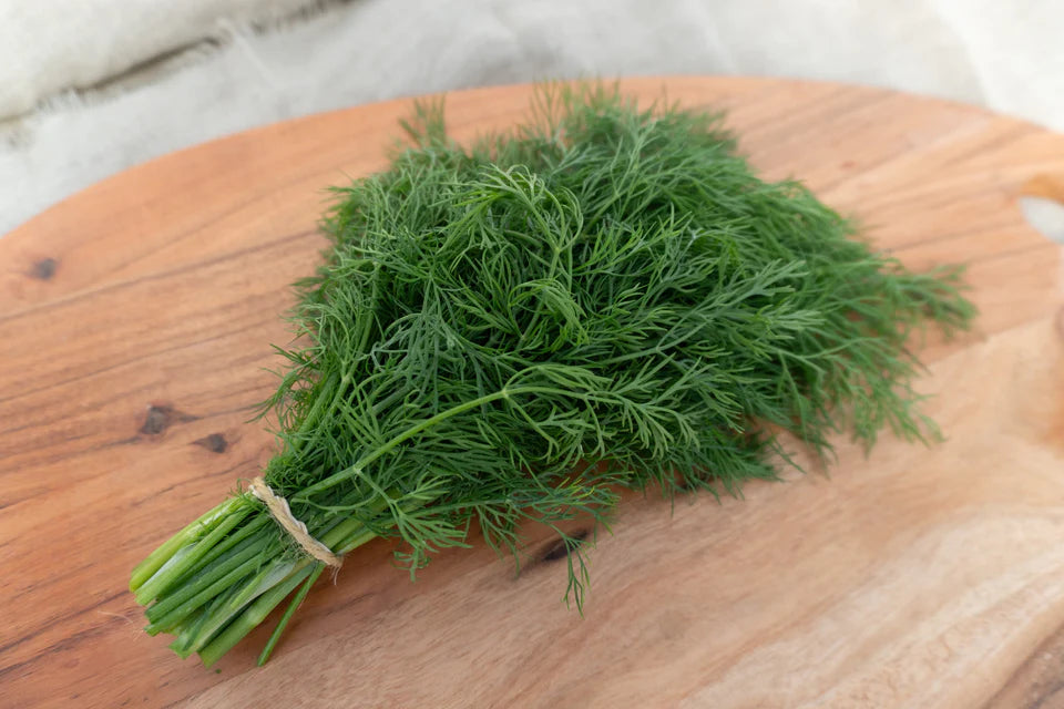 Thalia Organic Dill