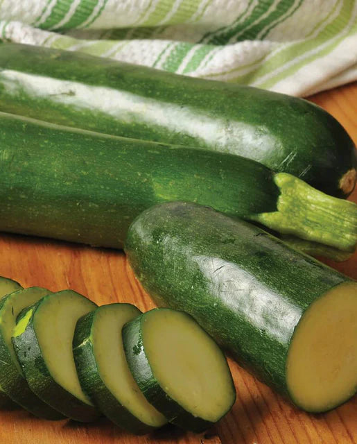 Jackpot Zucchini Squash