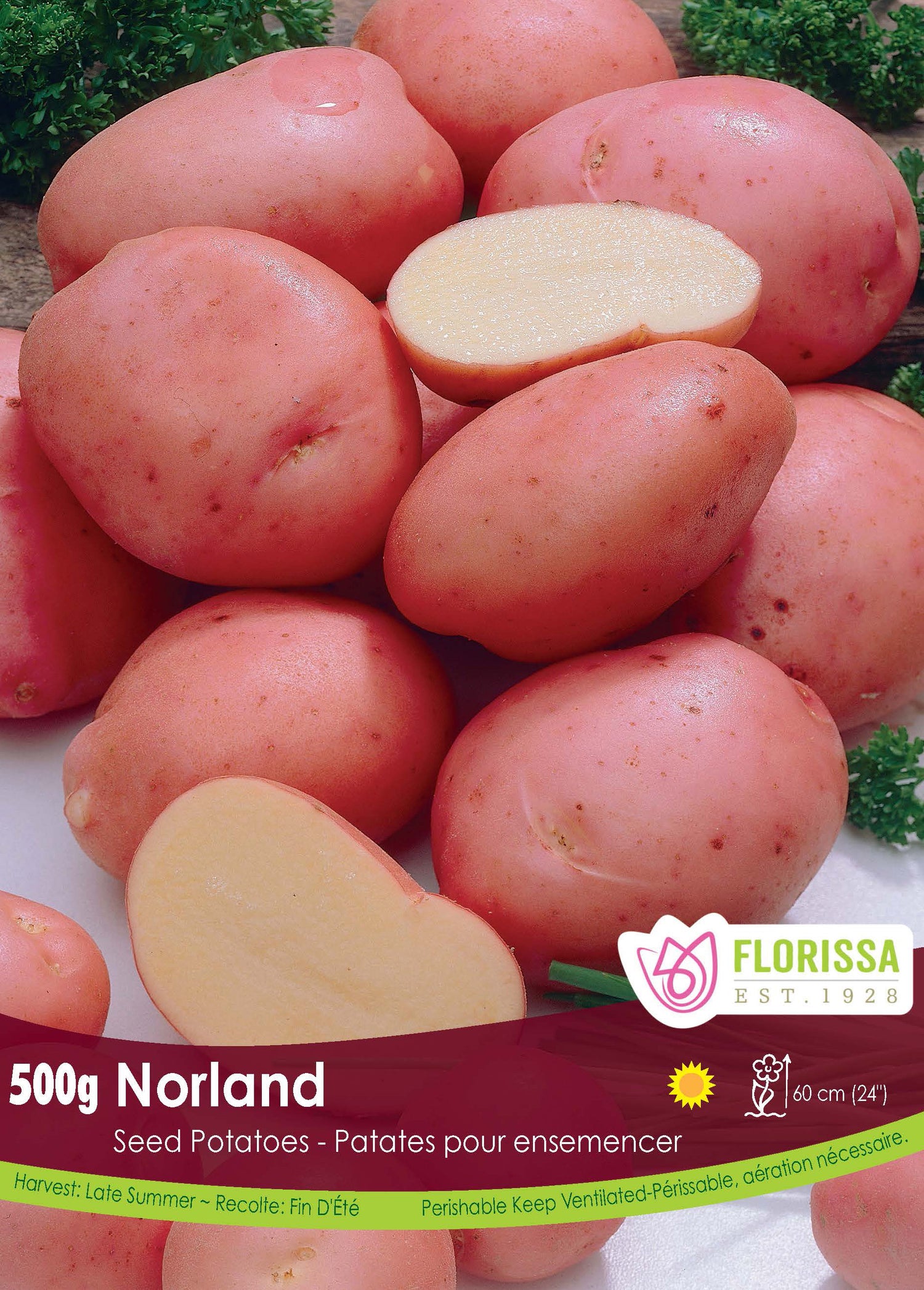 Norland Seed Potatoes