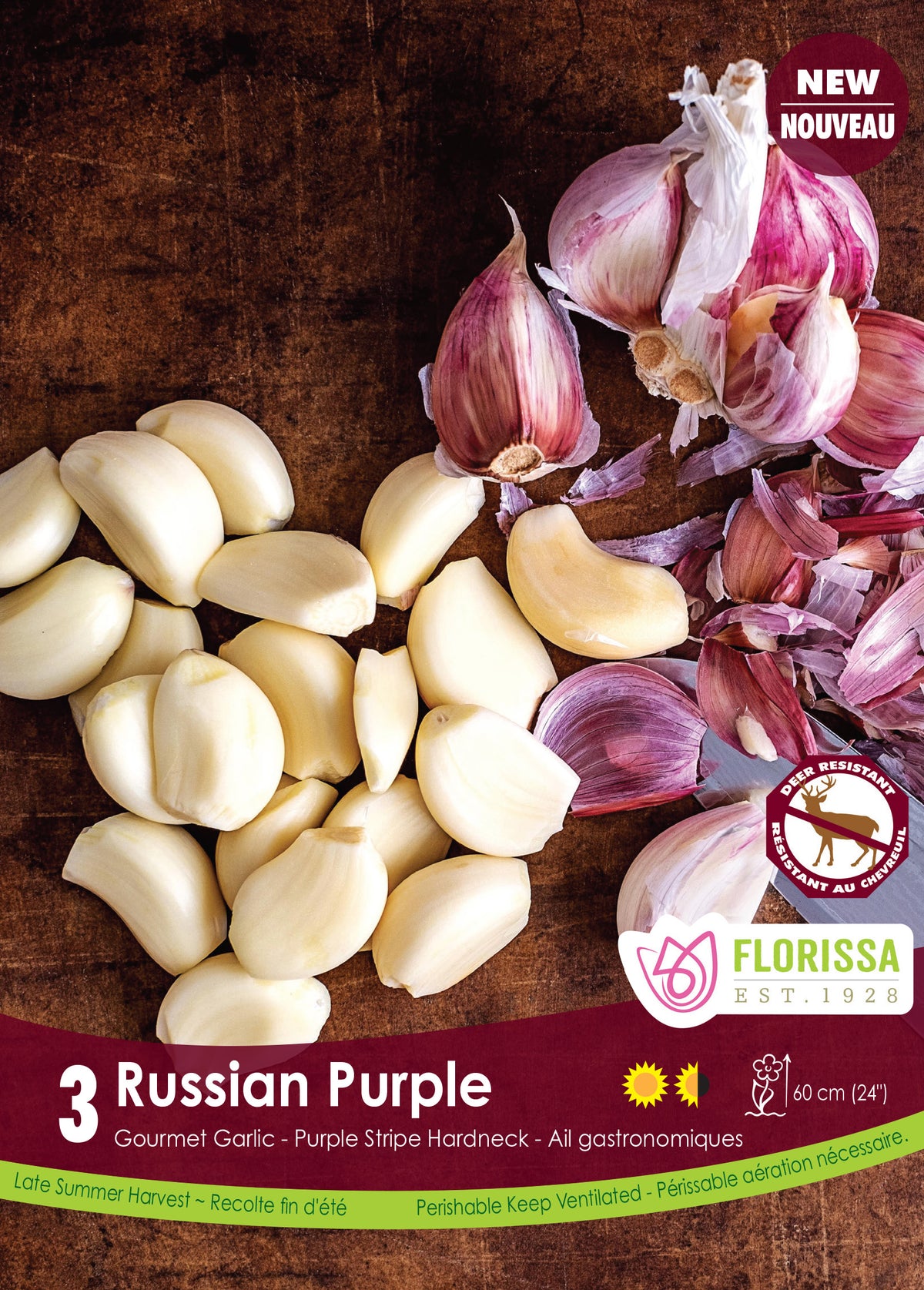 Garlic 'Russian Purple'