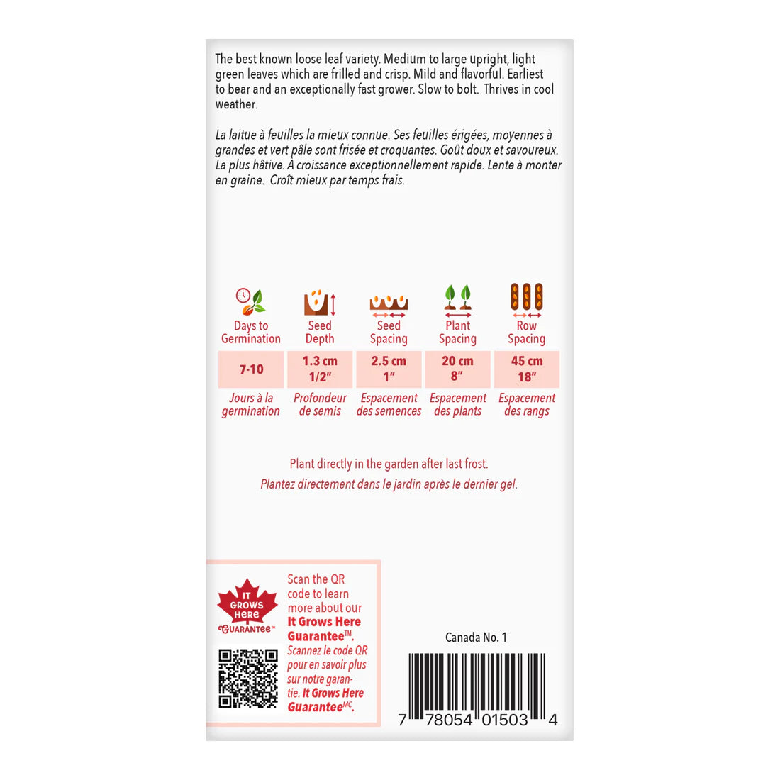 Lettuce Grand Rapids Value size