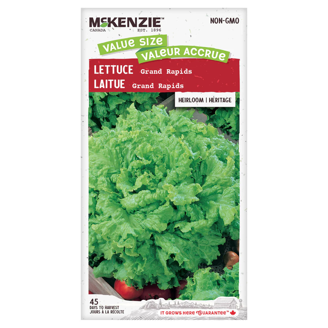Lettuce Grand Rapids Value size