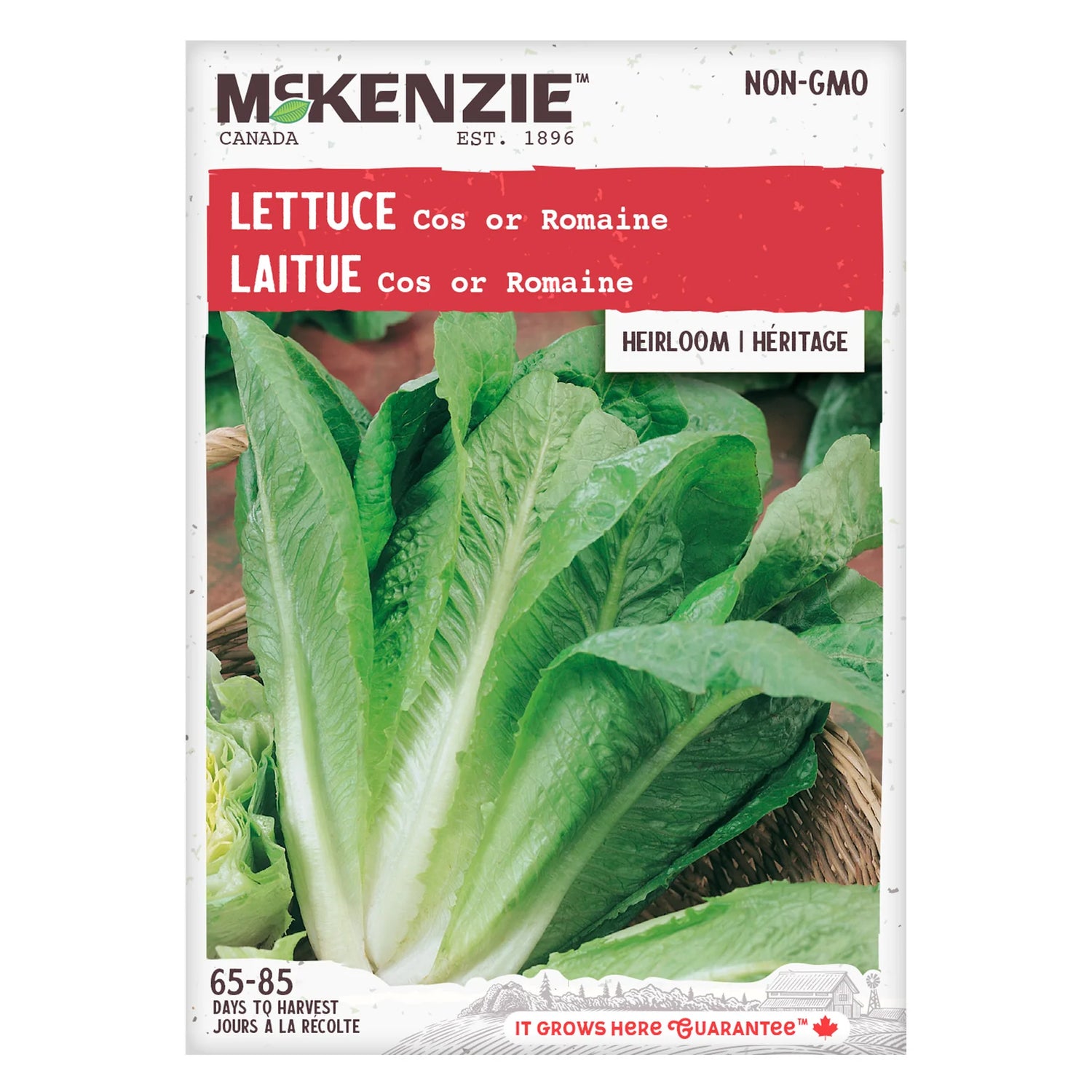 Lettuce Romaine