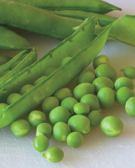 Green Arrow Pea