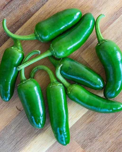 Jalapeno M Pepper