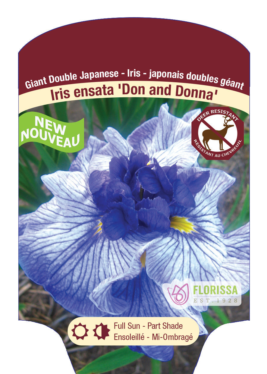 Bearded Iris Germanica 'Don & Donna'