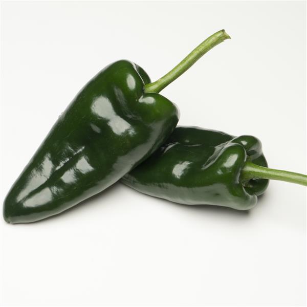 Hot Pepper 'Obsidiana'