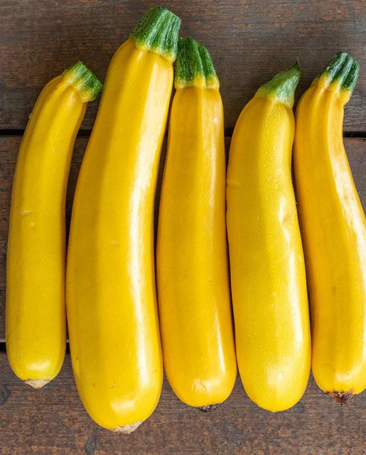 Goldy Certified Organic Squash