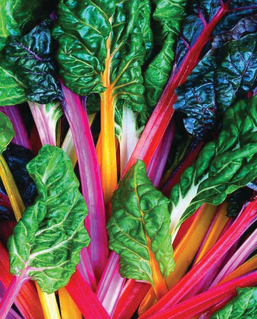 Bright Lights (Rainbow) Swiss Chard