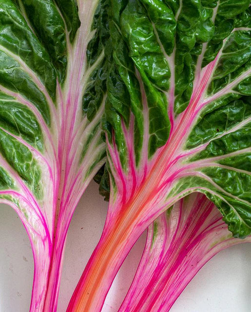 Peppermint Swiss Chard