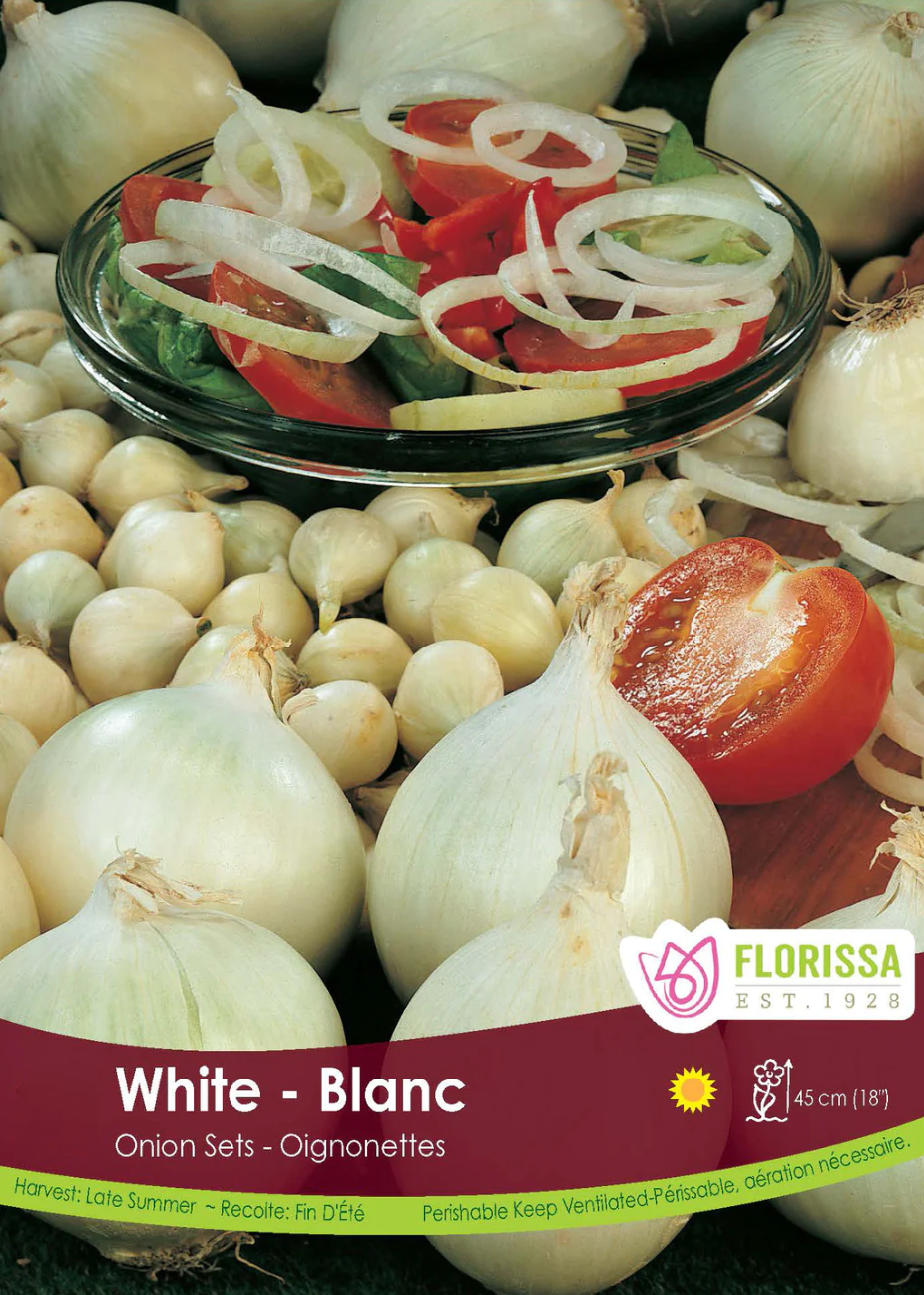 White Onion Sets