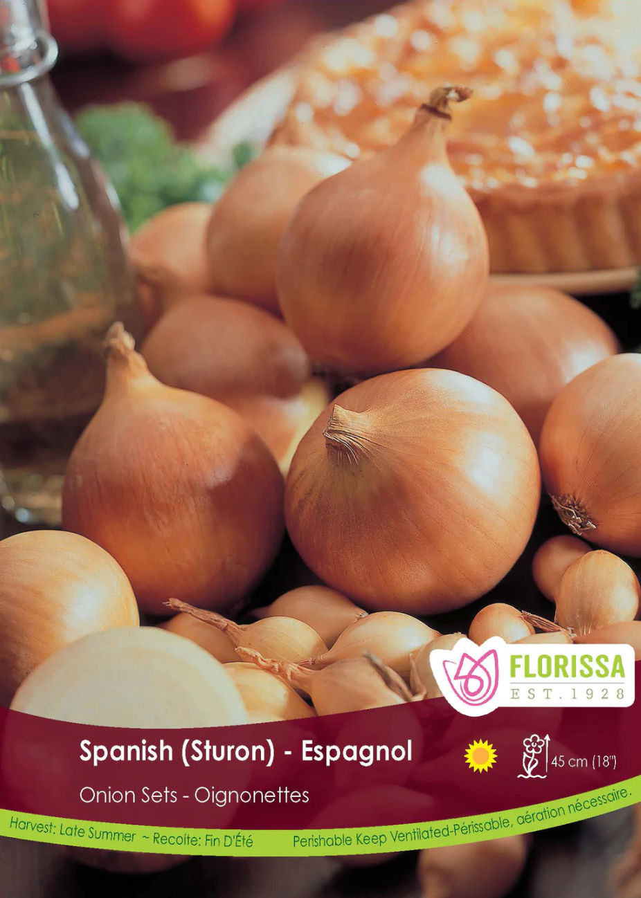 Spanish Onion Sets