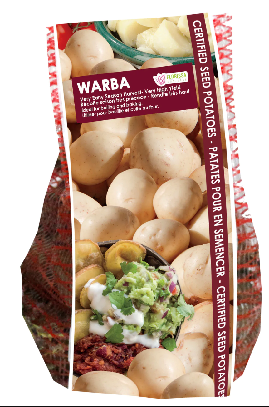 Warba Seed Potato