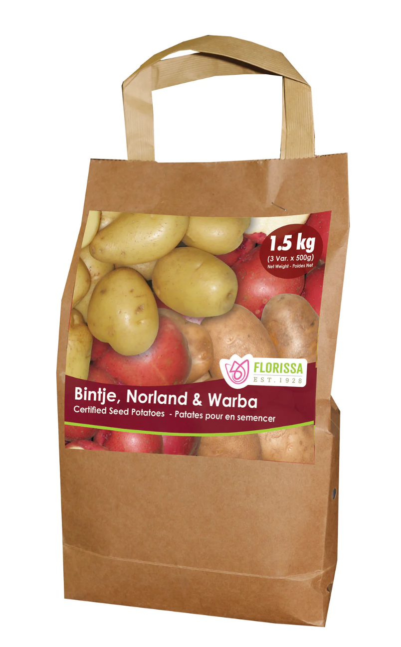 Combo Bag Seed Potatoes