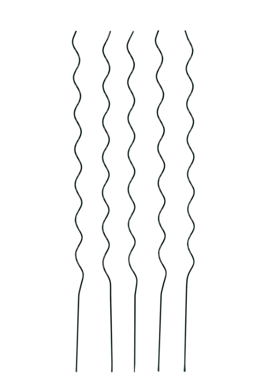 Tomato Spiral