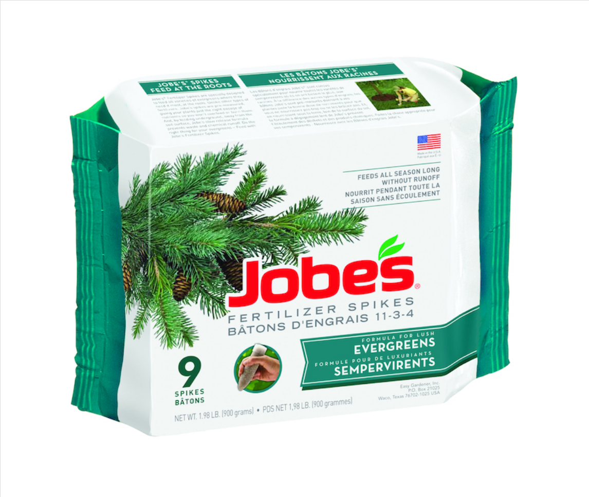 Jobes Evergreen Spikes