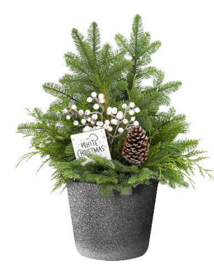 9" Greenery Planter