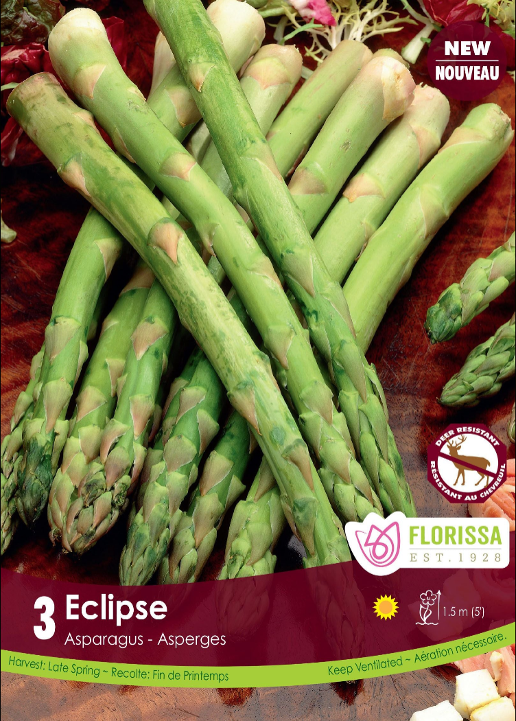 Asparagus potted