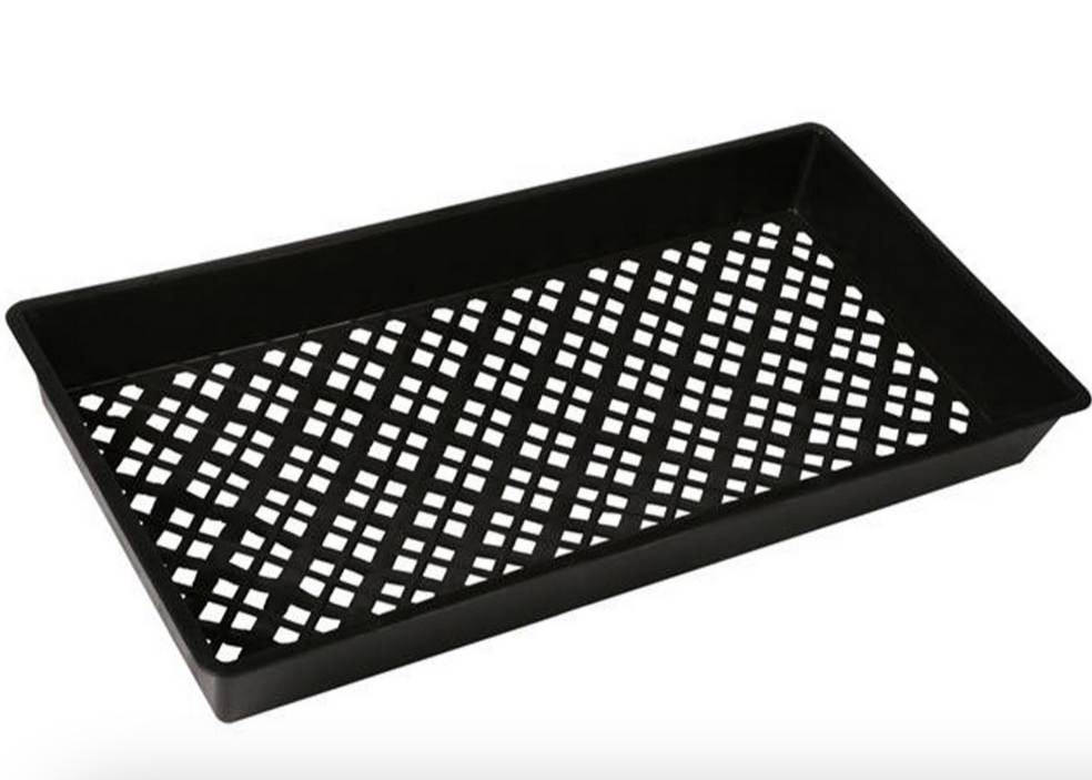 Seeding trays