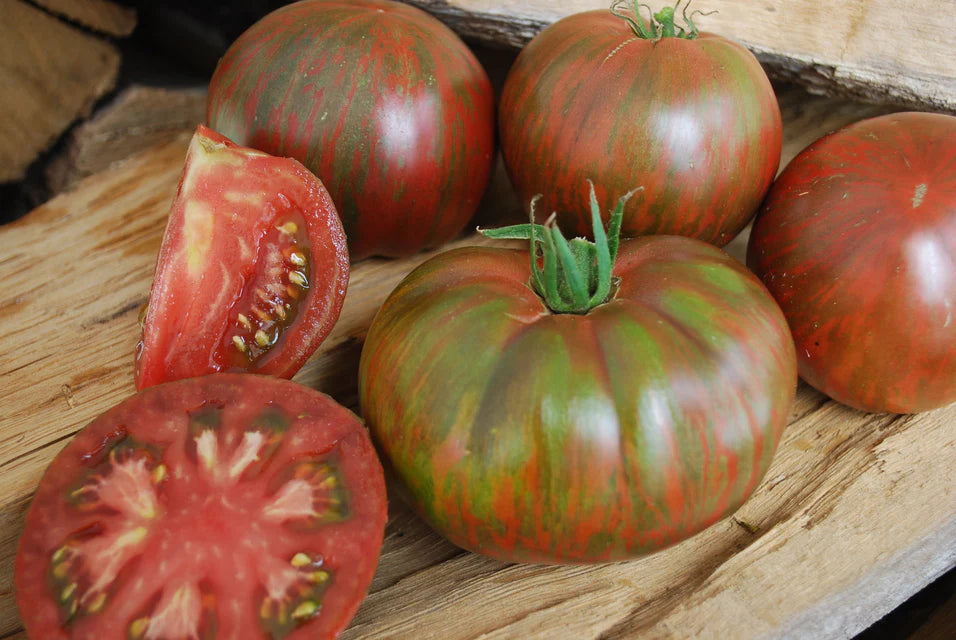 Pink Berekley Tie-Dye Tomato