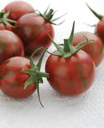 Purple Bumble Bee Organic Tomatoes - West Coast Seeds