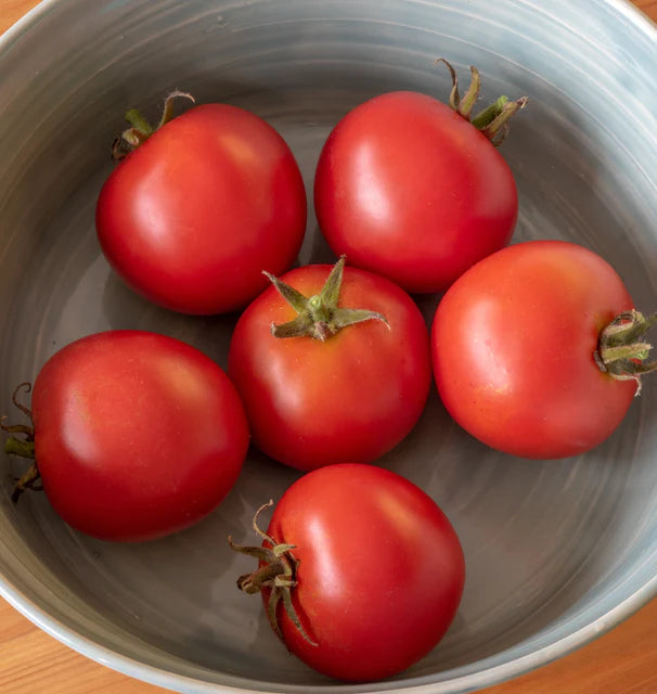 Red Racer Certified Organic Tomato