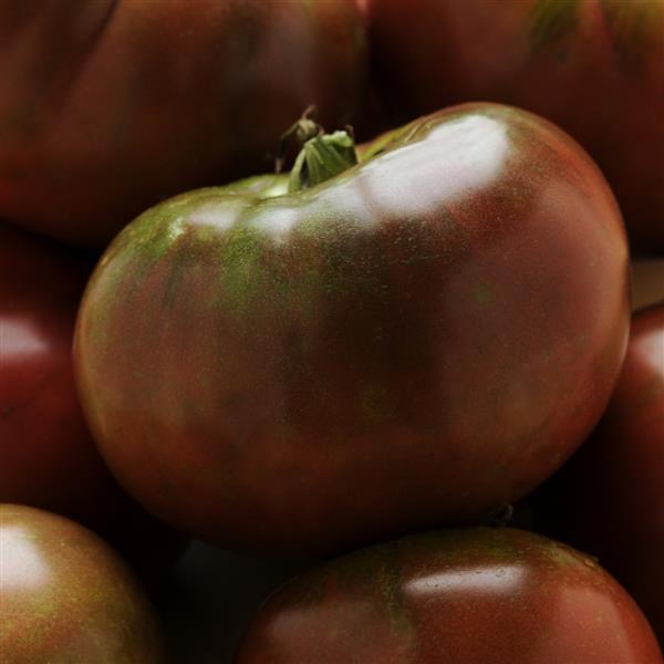 Tomato 'Black Krim'