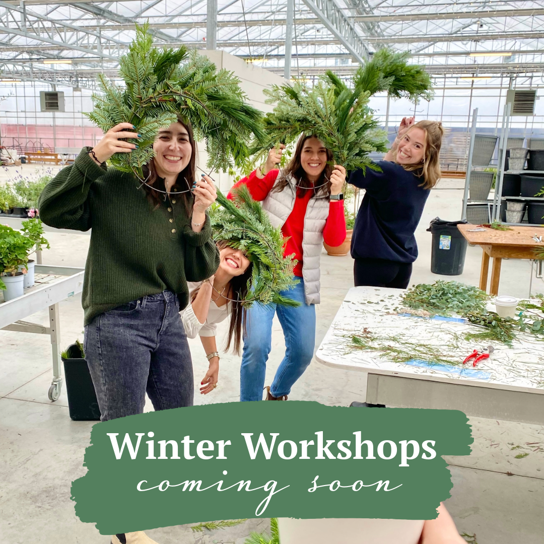 Wreath Workshops