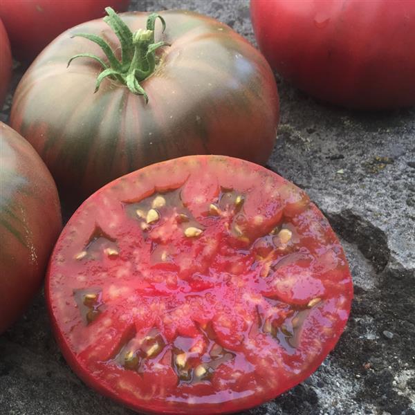 Tomato 'Black Krim'