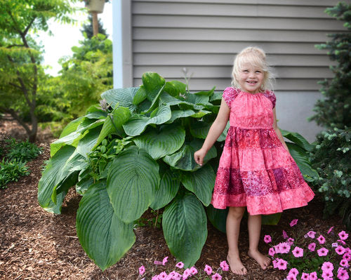 Hosta 'Empress Wu'