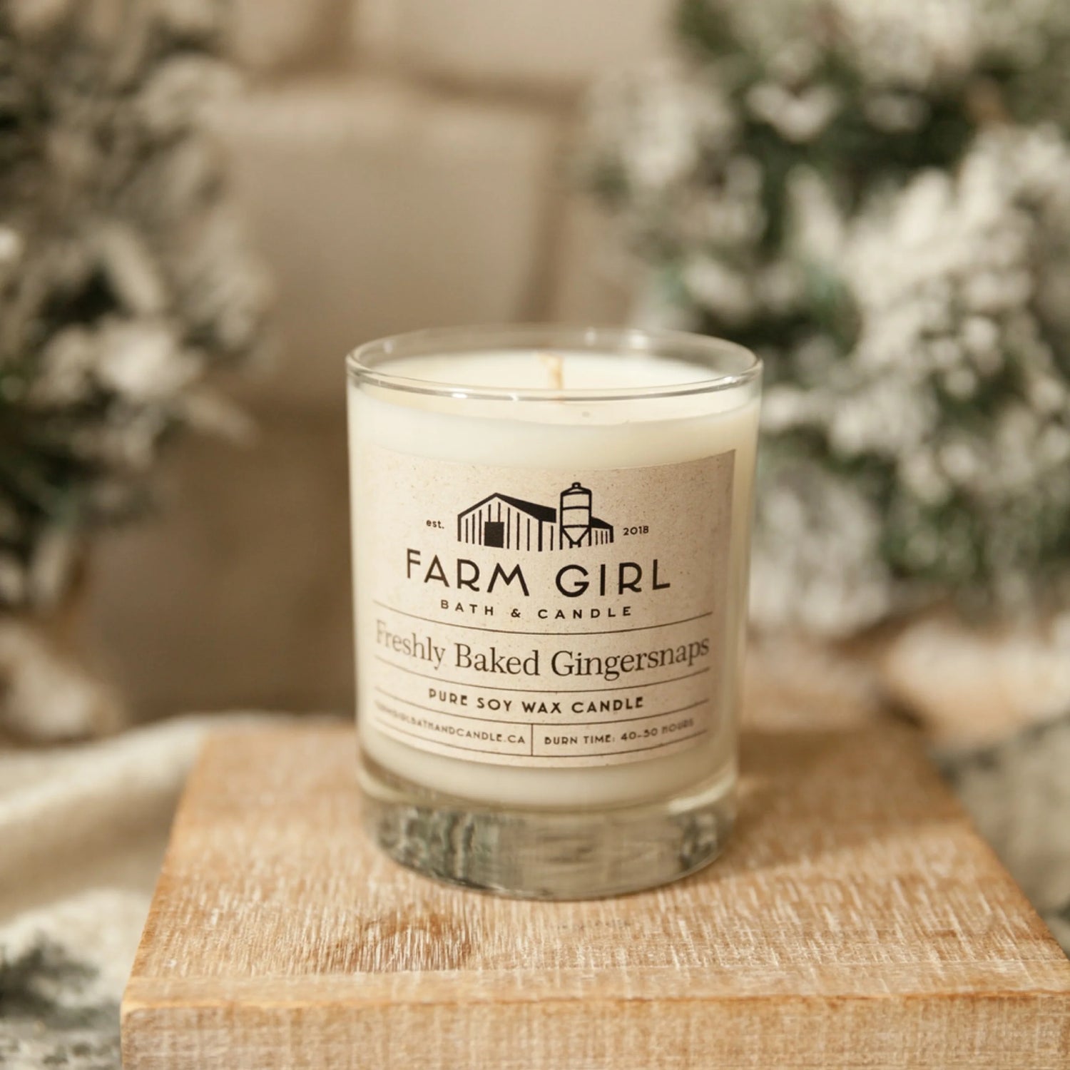 Fresh Baked Gingerbread