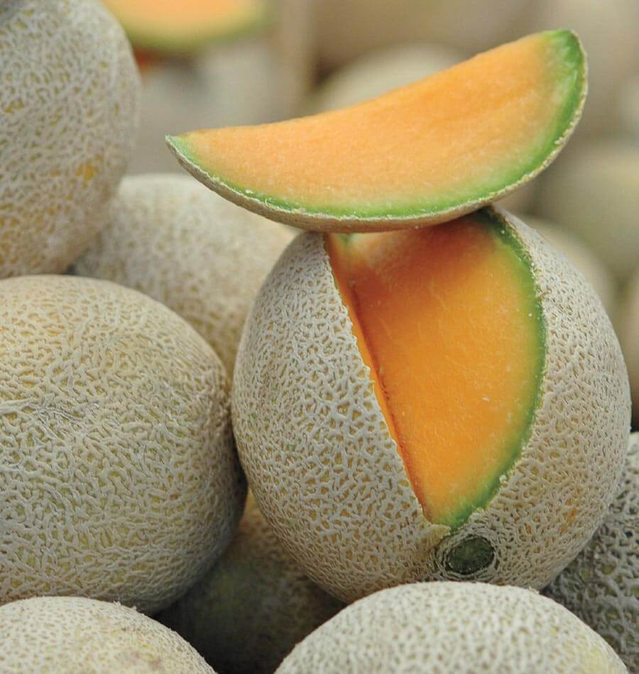 Home Run Melon