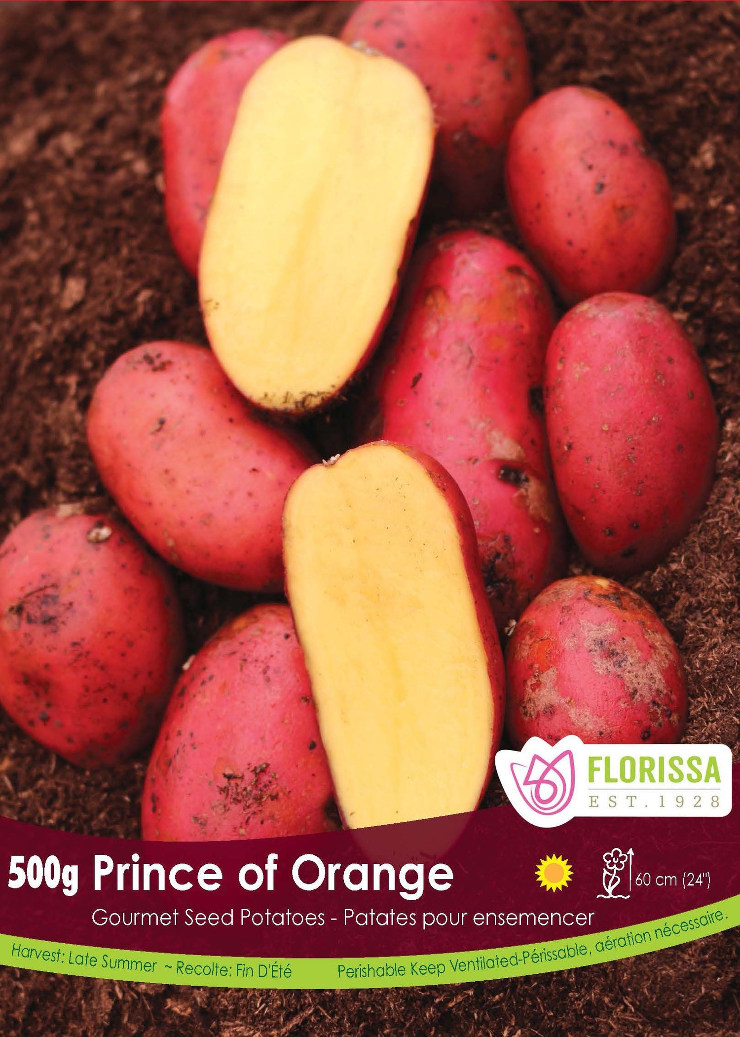 Prince of Orange Potato