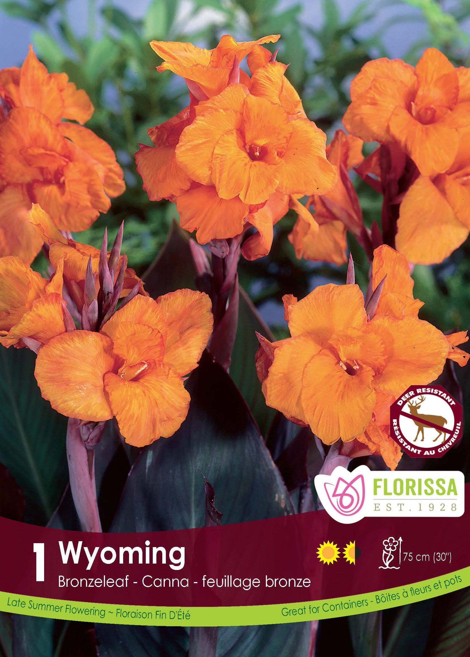 Canna Wyoming